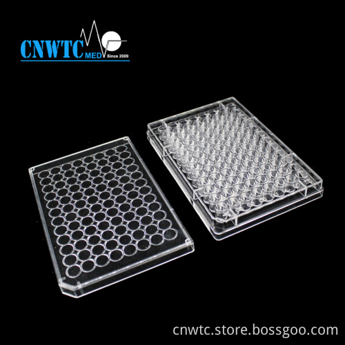 Lab Sterile Cell and Tissue Culture Plates: Your Essential Tool for Controlled Experiments